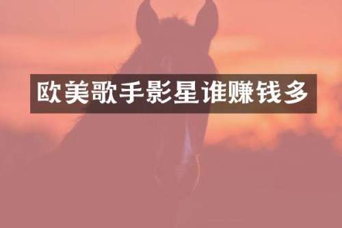 欧美歌手影星谁赚钱多
