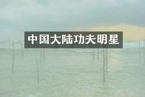中国大陆功夫明星