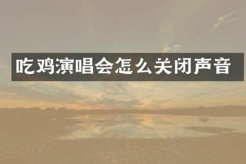 吃鸡演唱会怎么关闭声音