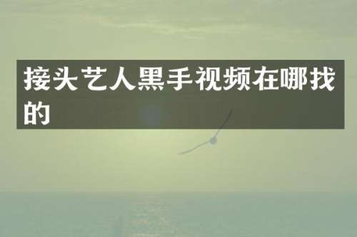 接头艺人黑手视频在哪找的