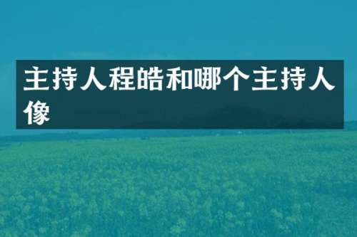 主持人程皓和哪个主持人像