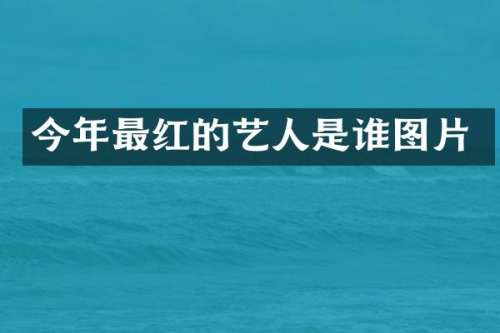今年最红的艺人是谁图片