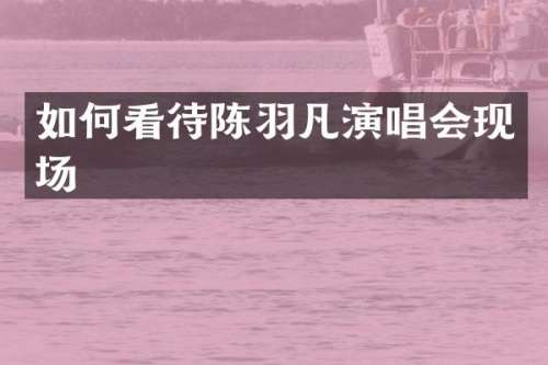 如何看待陈羽凡演唱会现场