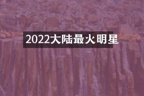 2022大陆最火明星