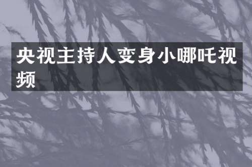 央视主持人变身小哪吒视频