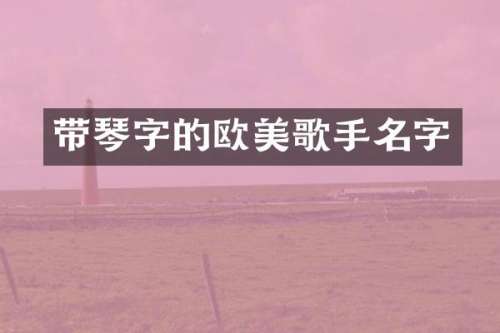 带琴字的欧美歌手名字