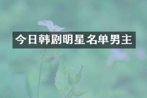今日韩剧明星名单男主