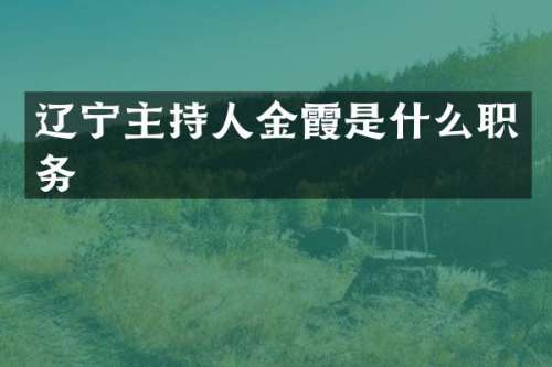 辽宁主持人金霞是什么职务