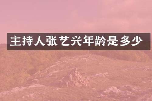 主持人张艺兴年龄是多少