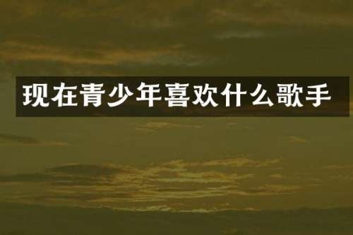 现在青少年喜欢什么歌手
