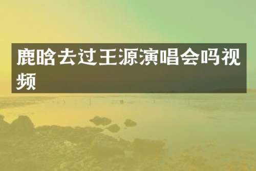 鹿晗去过王源演唱会吗视频