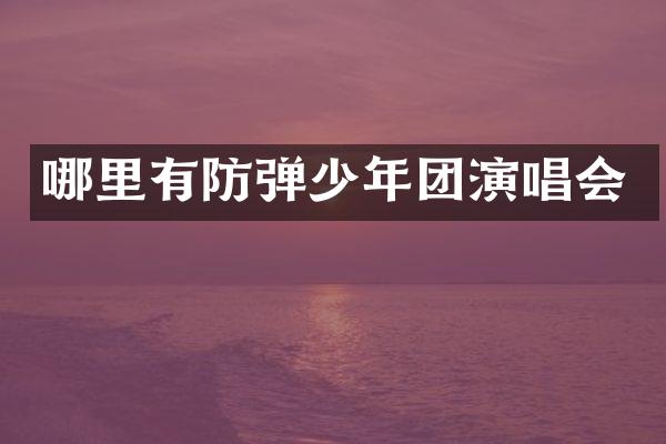 哪里有少年团演唱会