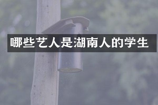 哪些艺人是湖南人的学生