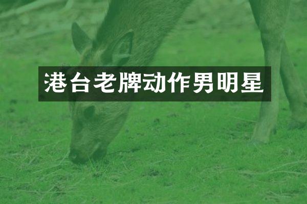 港台老牌动作男明星
