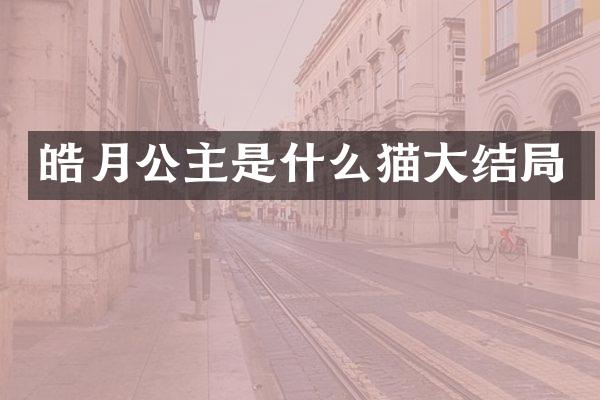 皓月公主是什么猫大结局
