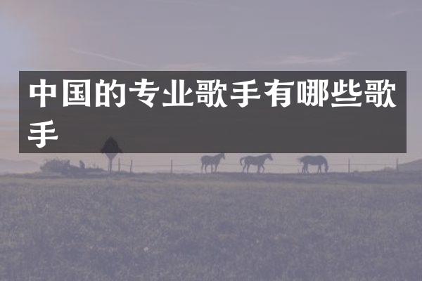 中国的专业歌手有哪些歌手