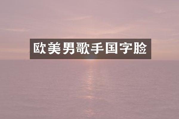 欧美男歌手国字脸