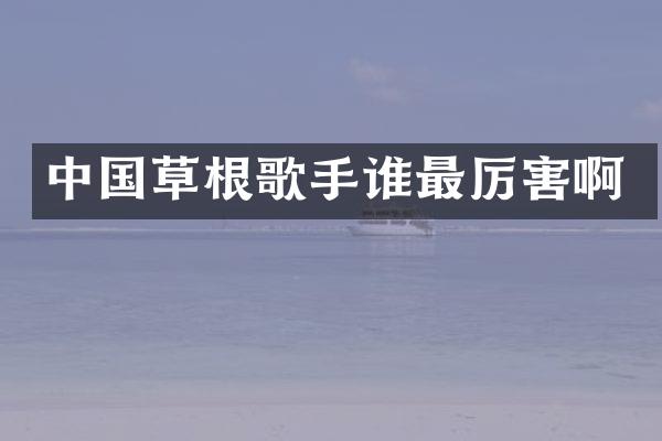 中国草根歌手谁最厉害啊