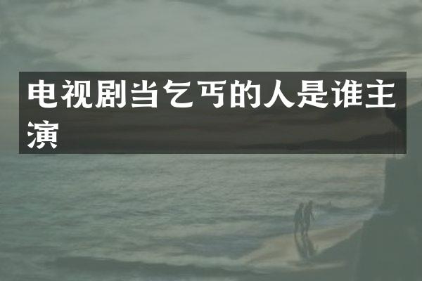 电视剧当乞丐的人是谁主演