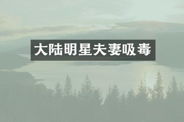 大陆明星夫妻吸毒