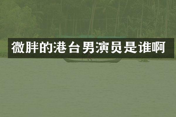 微胖的港台男演员是谁啊