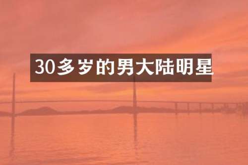 30多岁的男大陆明星