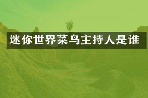 迷你世界菜鸟主持人是谁