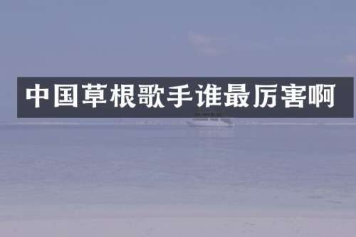 中国草根歌手谁最厉害啊