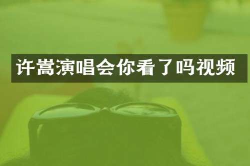 许嵩演唱会你看了吗视频