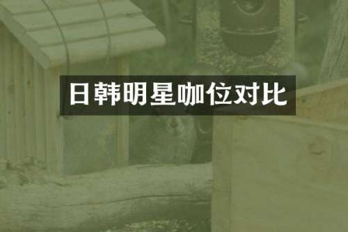 日韩明星咖位对比