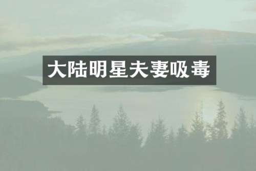 大陆明星夫妻吸毒