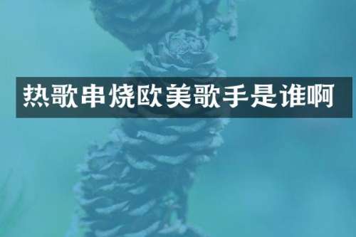 热歌串烧欧美歌手是谁啊