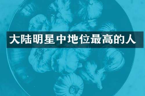 大陆明星中地位最高的人