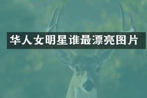 华人女明星谁最漂亮图片