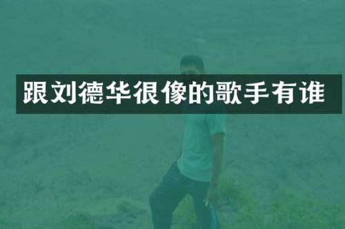 跟刘德华很像的歌手有谁