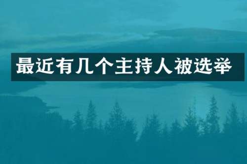 最近有几个主持人被选举