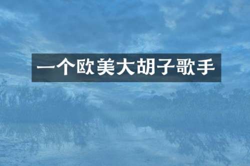 一个欧美大胡子歌手