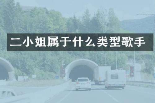 二属于什么类型歌手