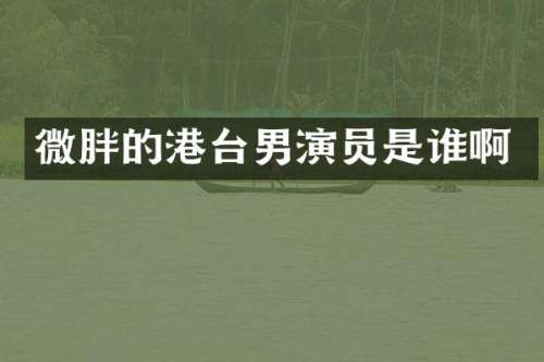 微胖的港台男演员是谁啊