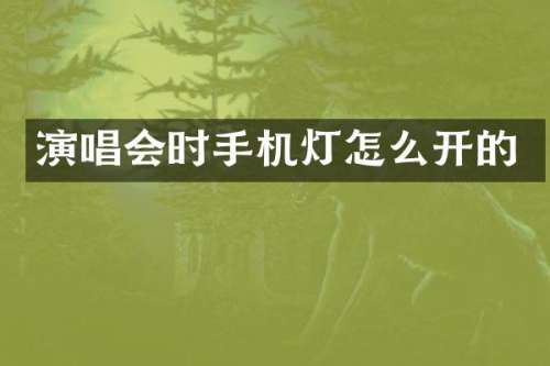 演唱会时手机灯怎么开的