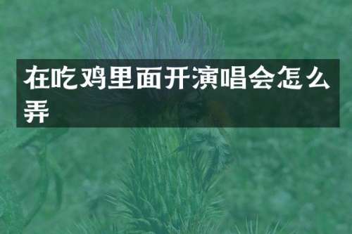 在吃鸡里面开演唱会怎么弄
