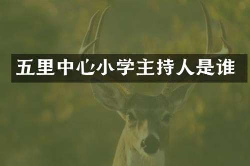 五里中心小学主持人是谁