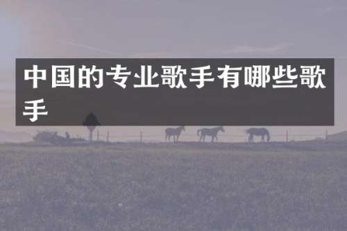 中国的专业歌手有哪些歌手