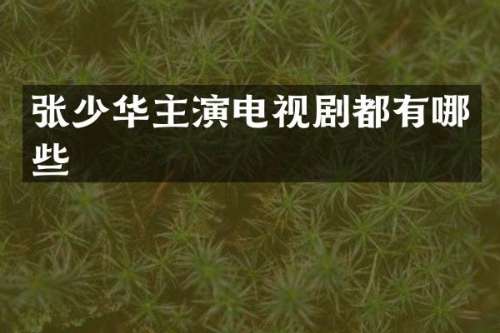 张少华主演电视剧都有哪些