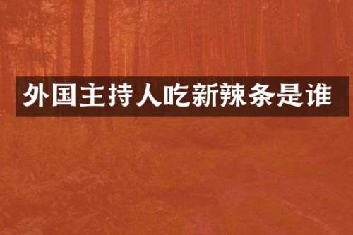 外国主持人吃新辣条是谁