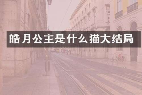 皓月公主是什么猫大结局