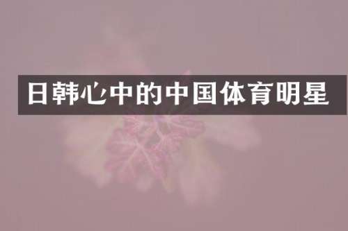 日韩心中的中国体育明星