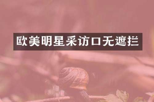 欧美明星采访口无遮拦