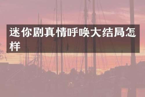 迷你剧真情呼唤大结局怎样