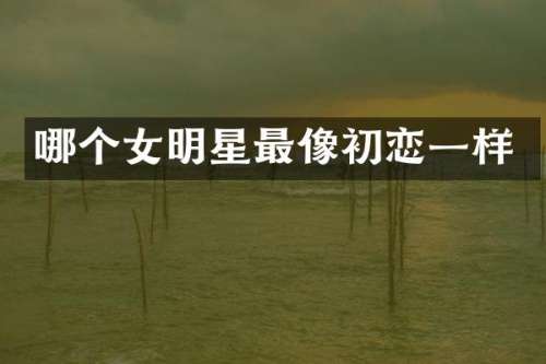 哪个女明星最像初恋一样